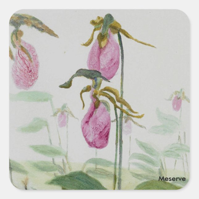 Adesivo Quadrado Lady Slippers (Frente)