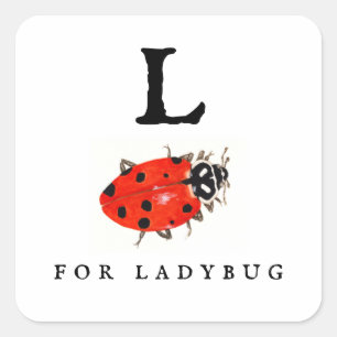 Adesivo Quadrado Ladybug