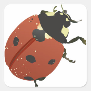 Adesivo Quadrado LadyBug Office Home Personalizar Destino