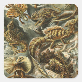 Adesivo Quadrado Lagartos por Ernst Haeckel Lacertília Animal Vinta