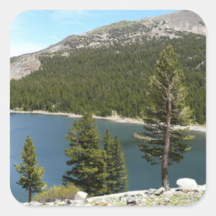 Adesivo Quadrado Lago Tenaya no Parque Nacional de Yosemite