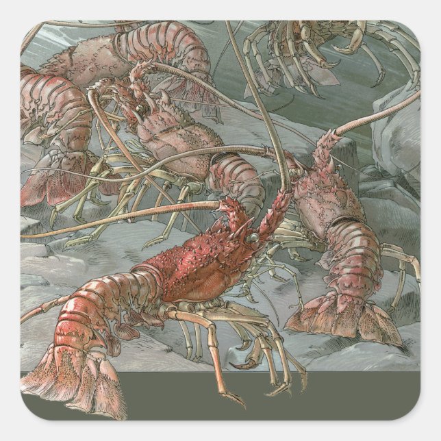 Adesivo Quadrado Lagostas no oceano, Vintage Art Nouveau (Frente)