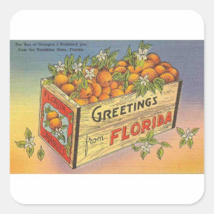 Adesivo Quadrado Laranjas retros de Florida do vintage