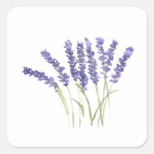 Adesivo Quadrado Lavandas flores aquarela herbáceas rústicas ruas