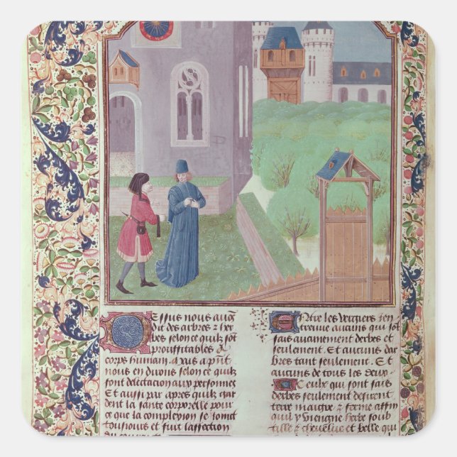 Adesivo Quadrado "Le Livre des Prouffitz Champestres", por (Frente)