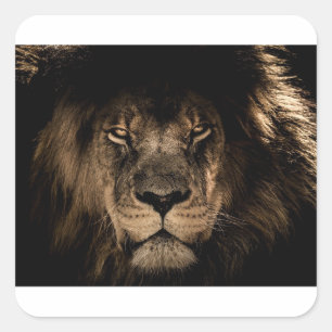 Adesivo Quadrado Leão africano