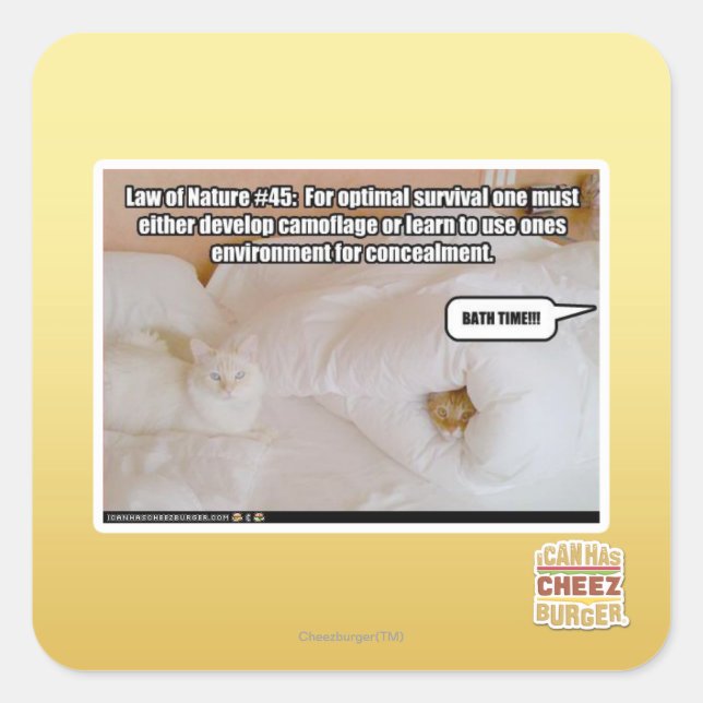 Adesivo Quadrado Lei da Natureza #45 (Frente)