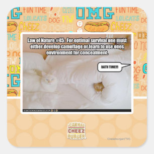 Adesivo Quadrado Lei da Natureza #45