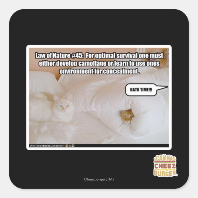 Adesivo Quadrado Lei da Natureza #45 (Frente)