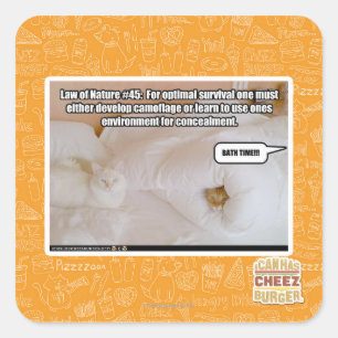 Adesivo Quadrado Lei de natureza #45