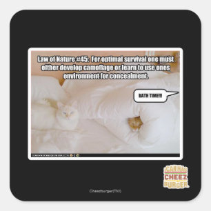 Adesivo Quadrado Lei de natureza #45