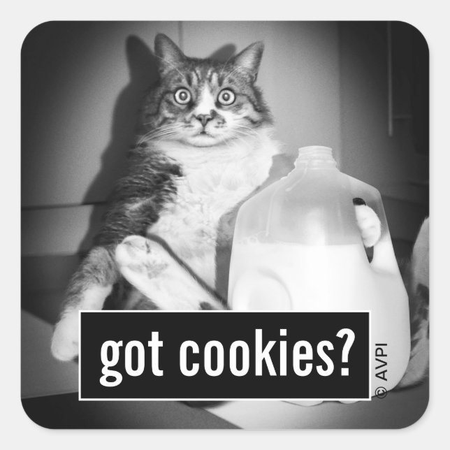 Adesivo Quadrado Leite De Bebendo De Gato De Jug (Frente)