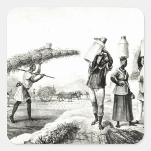 Adesivo Quadrado Leite e vendedores de Capim