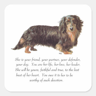 Adesivo Quadrado Lembrança de Dachshund - Fêmea