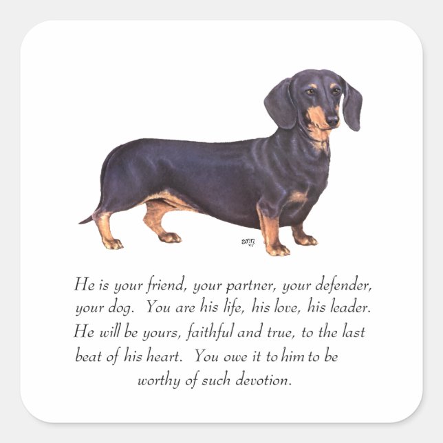 Adesivo Quadrado Lembrança de Dachshund - Macho (Frente)