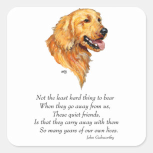 Adesivo Quadrado Lembrança do Golden Retriever