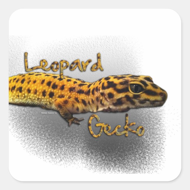 Adesivo Quadrado Leopard Gecko Sticker (Frente)