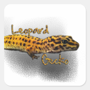 Adesivo Quadrado Leopard Gecko Sticker