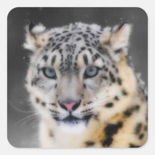 Adesivo Quadrado Leopardo de neve