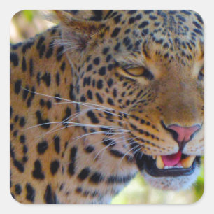 Adesivo Quadrado Leopardo Manchado