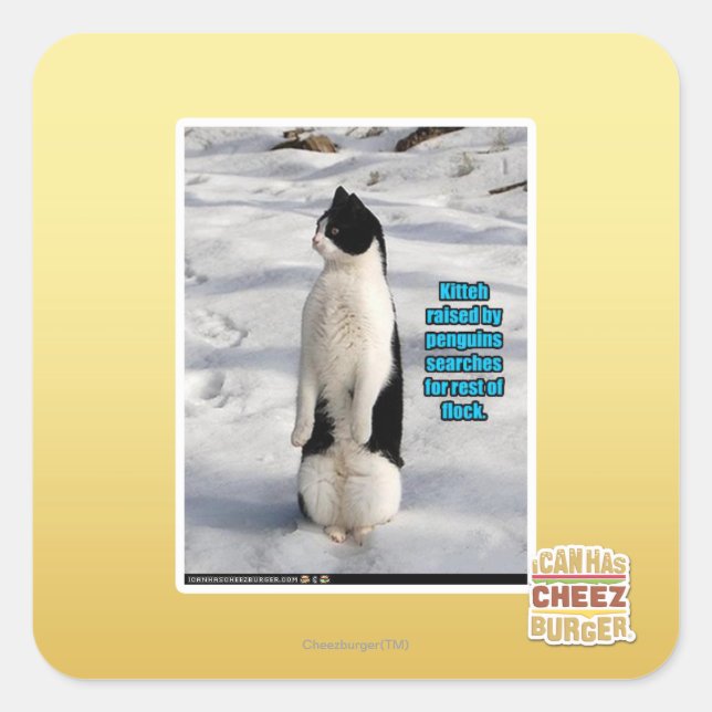 Adesivo Quadrado Levantados por Pinguins (Frente)