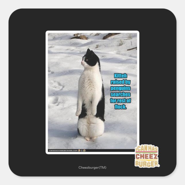 Adesivo Quadrado Levantados por Pinguins (Frente)