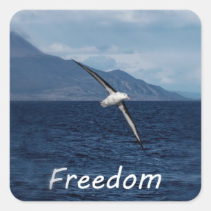 Adesivo Quadrado Liberdade para percorrer o oceano