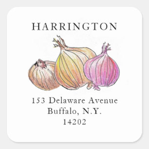 Adesivo Quadrado Ligações de Cores Aquáticas Endereço de Devolução 