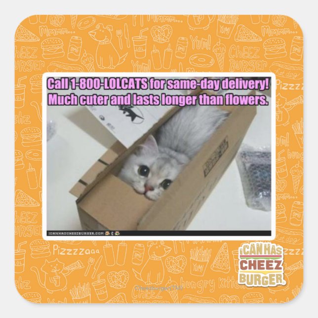 Adesivo Quadrado Ligue para 1-800-LOLCATS (Frente)