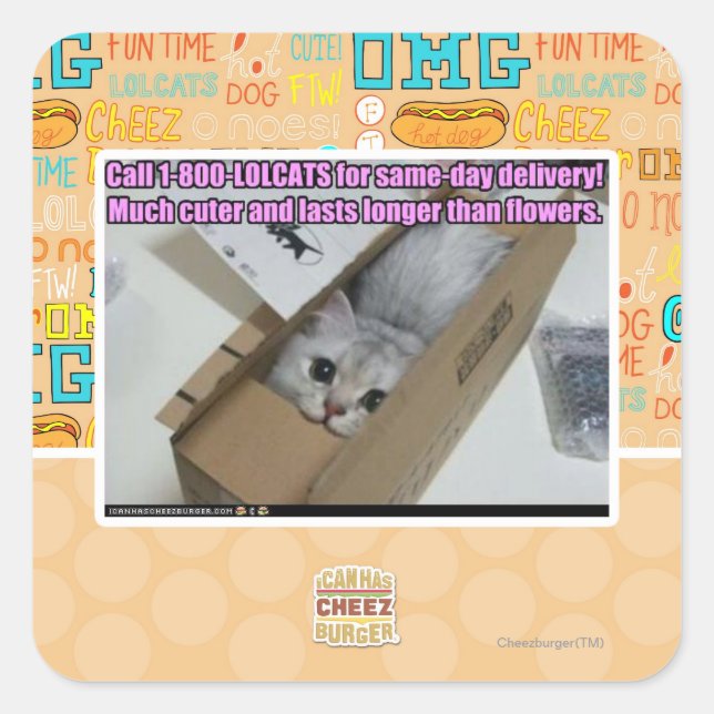 Adesivo Quadrado Ligue para 1-800-LOLCATS (Frente)