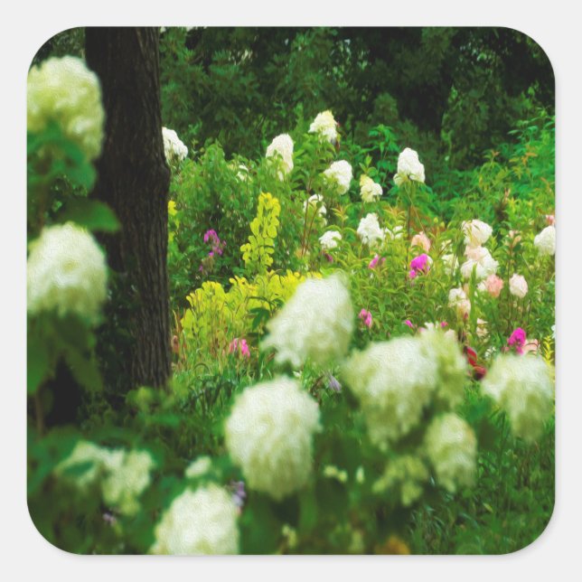Adesivo Quadrado Limelight Hydrangeas no meu Jardim Rubio (Frente)