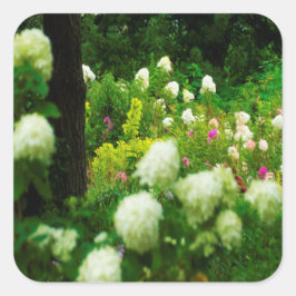 Adesivo Quadrado Limelight Hydrangeas no meu Jardim Rubio