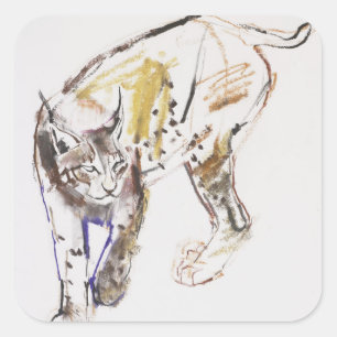 Adesivo Quadrado Lince europeu