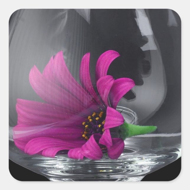 Adesivo Quadrado Linda flor violeta coberta em vidro cristal (Frente)