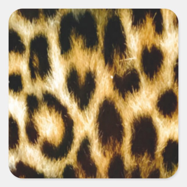 Adesivo Quadrado Linda pele-leopardo (Frente)
