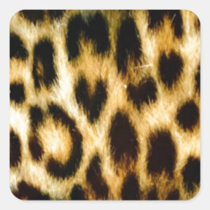 Adesivo Quadrado Linda pele-leopardo