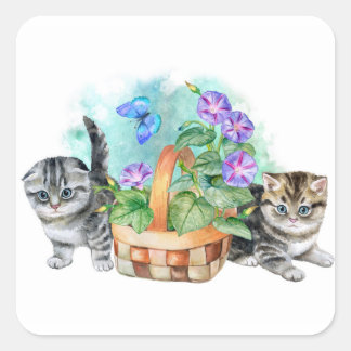 Adesivo Quadrado Lindos gatinhos doces