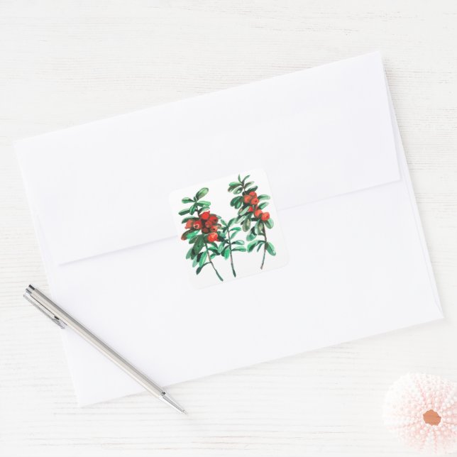 Adesivo Quadrado Lingonberry (Envelope)