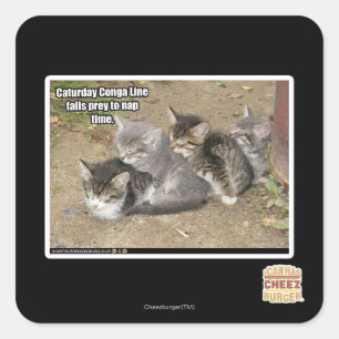 Adesivo Quadrado Linha de Conga de Caturday