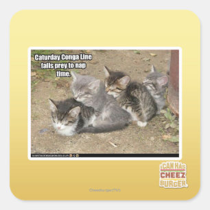 Adesivo Quadrado Linha de Conga de Caturday