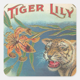 Adesivo Quadrado Lírio de tigre