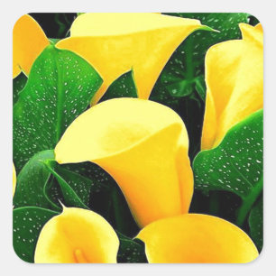 Adesivo Quadrado Lírios Calla Amarelos
