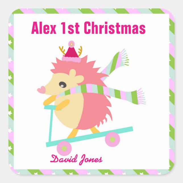 Adesivo Quadrado Little Christmas Hedhog (Frente)