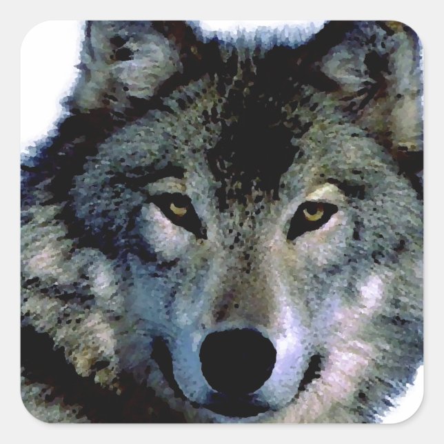 Adesivo Quadrado Lobo (Frente)
