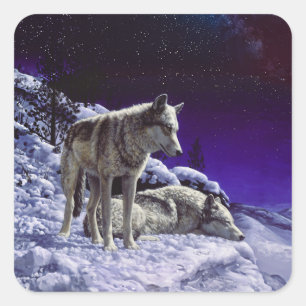 Adesivo Quadrado Lobos cinzas na neve de inverno à noite