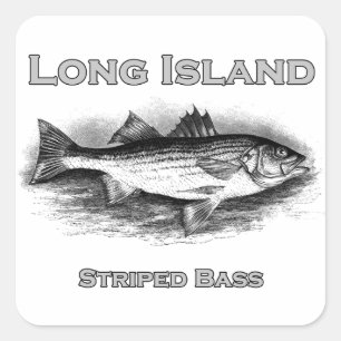Adesivo Quadrado Logotipo de Bass Stripe Vintage em Long Island