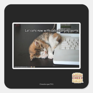 Adesivo Quadrado Lol cats com USB