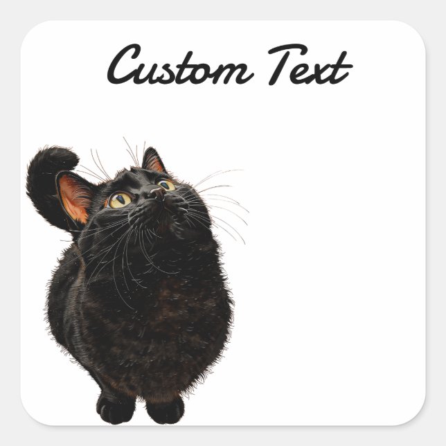 Adesivo Quadrado Looking Up Cat -4 | Personalized Custom Text (Frente)