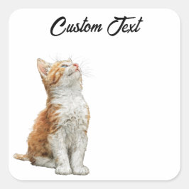 Adesivo Quadrado Looking Up Cat | Personalized Custom Text
