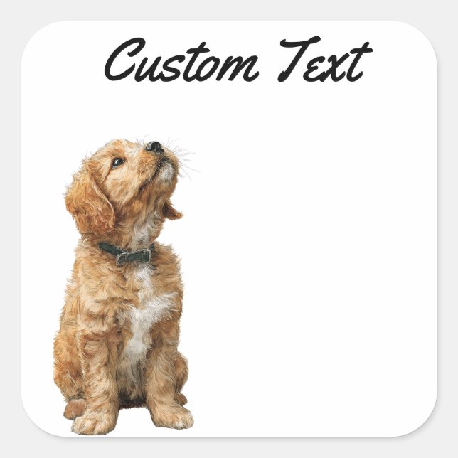 Adesivo Quadrado Looking Up Puppy-3 | Personalized Custom Text (Frente)
